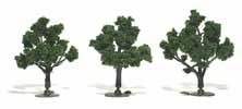 Trees 3''-4'' Medium Green