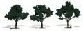 Trees 3''-4'' Dark Green