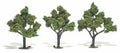 Trees 4''-5'' Light Green