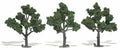 Trees 4''-5'' Medium Green