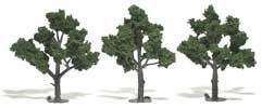 Trees 4''-5'' Medium Green