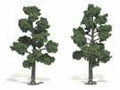 Trees 5''-6'' Medium Green