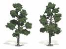Trees 5''-6'' Medium Green
