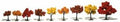 Trees 1 1/4''-3'' Fall Mix