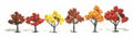 Trees 3''-5'' Fall Mix