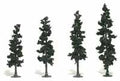 Trees 4''-6'' Conifer Green