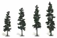 Trees 4''-6'' Conifer Green