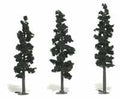 Trees 6''-7'' Conifer Green