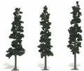Trees 7''-8'' Conifer Green