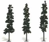 Trees 7''-8'' Conifer Green
