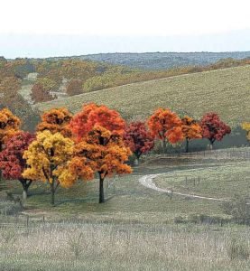 Bulk Trees 3/4''-2'' Fall Colors/38pc