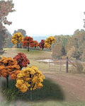 Bulk Trees 2''-3'' Fall Colors/23pc