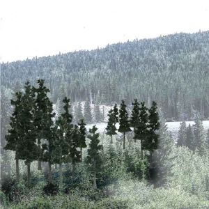 Bulk Trees 2-1/2''-4'' Conifers/33pc