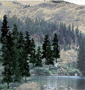 Bulk Trees 4''-6'' Conifers/24pc