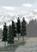 Bulk Trees 6''-8'' Conifers/12pc