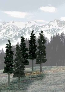 Bulk Trees 6''-8'' Conifers/12pc