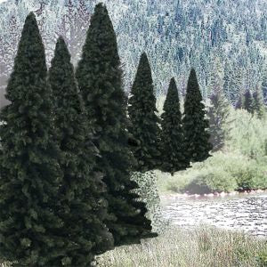 Bulk Trees 2''-4'' Evergreen/18pc