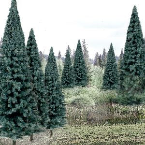 Bulk Trees 4''-6'' Spruce/13pc
