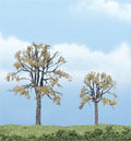 Dead Elm Tree 2''-3''/2pc