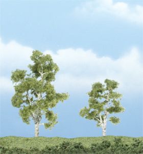 Sycamore Tree 2''-3''/2pc