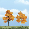 Fall Maple Tree 2''-3''/2pc