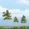 Paper Birch Tree 1''-3''/3pc