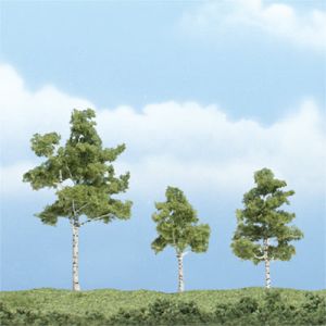 Paper Birch Tree 1''-3''/3pc