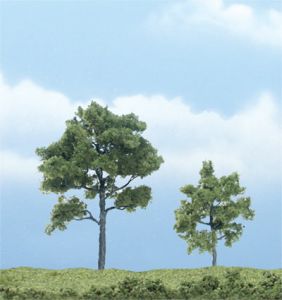 Locust Tree 2''-3''/2pc