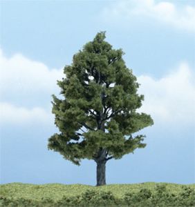 Sweetgum Tree 4''/1pc