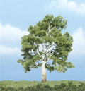 Sycamore Tree 4''/1pc