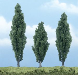 Poplar Tree 3''-5''/3pc