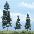 Juniper Tree 2''-5''/3pc