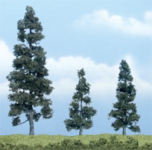 Juniper Tree 2''-5''/3pc