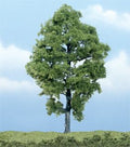 Hickory Tree 6''/1pc