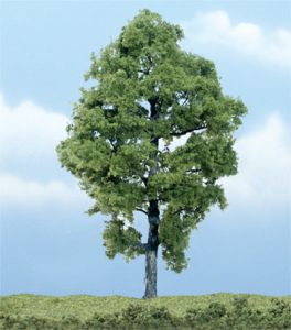 Hickory Tree 6''/1pc