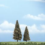 Conifer Tree 3''-4''/2pc
