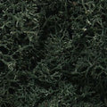 Lichen/Dark Green