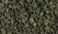Shaker Bushes/Forest Blend