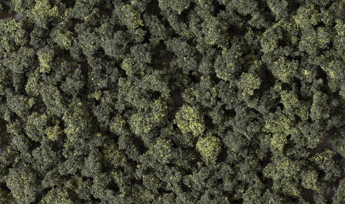 Shaker Bushes/Forest Blend