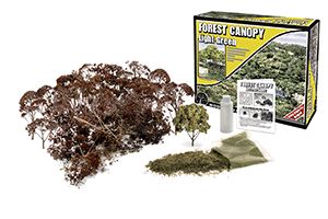 Lt.Green Forest Canopy