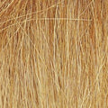 Field Grass/Harvest Gold