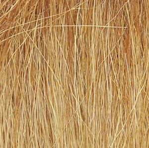 Field Grass/Harvest Gold