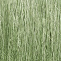 Field Grass/Light Green