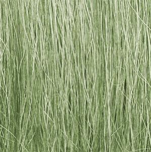 Field Grass/Light Green