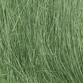 Field Grass/Medium Green