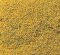 Flowering Foliage/Yellow