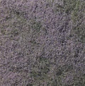 Flowering Foliage/Purple