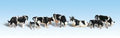 HO Holstein Cows