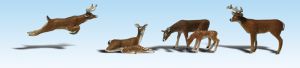 HO Deer