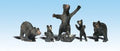 HO Black Bears